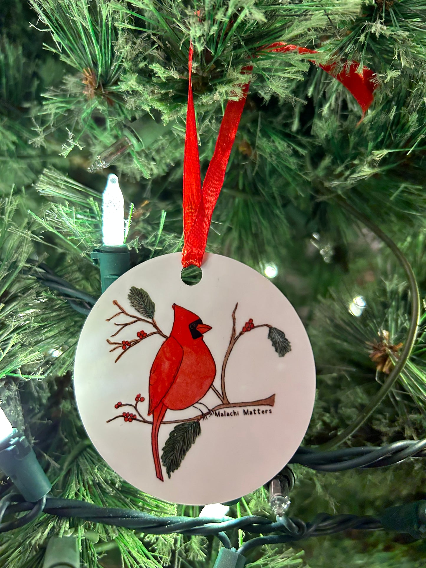Winter Cardinal by Malachi