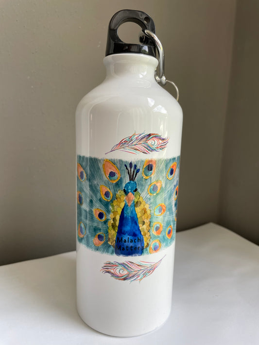 Aluminum 17oz water bottle - older style design